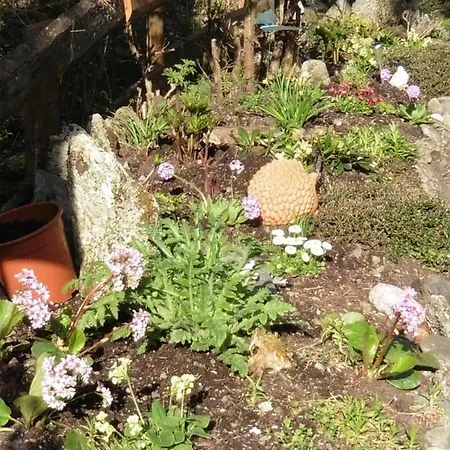 Hilde Apartament Lungötz