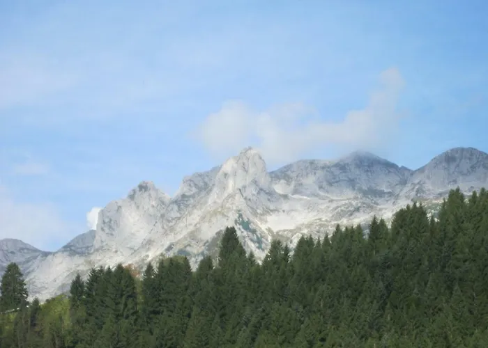 Hilde * לונגוץ