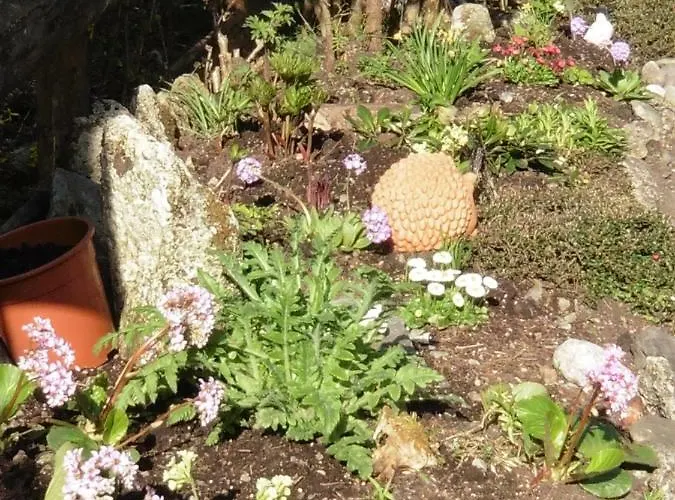 Hilde Apartment Lungötz